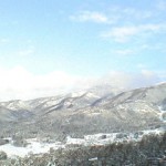 20090111141225.jpg
