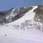 image_17.jpg