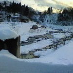 image_3.jpg