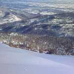 200902091016000.jpg