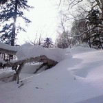 200902111224000.jpg
