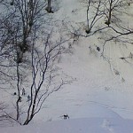 200903151426000.jpg