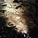 200904122102000.jpg