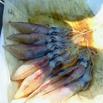 200904291424000.jpg