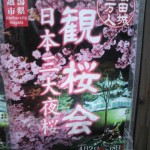 2010041118010000.jpg