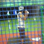 2010072420130000.jpg