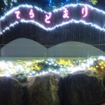 DVC00334_2.jpg