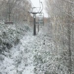 DVC00350.jpg
