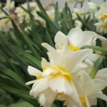 2011041609220000.jpg