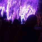 DVC00051.jpg