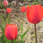 2011050213100000.jpg