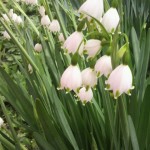 2011050213100001.jpg
