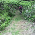 2011060415310000.jpg