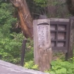 DVC00131.jpg