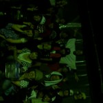 2011080322120000.jpg