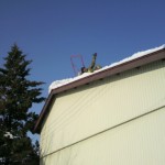 2011123112280001.jpg