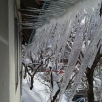 120117_093030.jpg