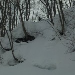 120320_125954.jpg